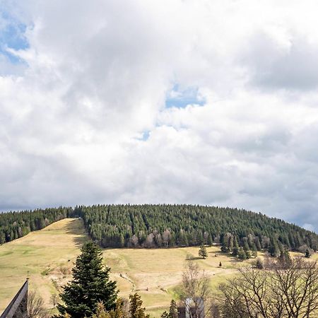 Haus Bergruh Kuckucksnest Todtnauberg Exterior foto